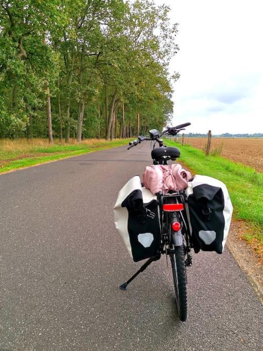 Fewo "Am Bienenstock" In Dallgow-Doberitz Exteriér fotografie